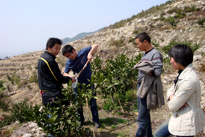 1635320350342273.jpg 測(cè)土配方施肥技術(shù)_副本.jpg