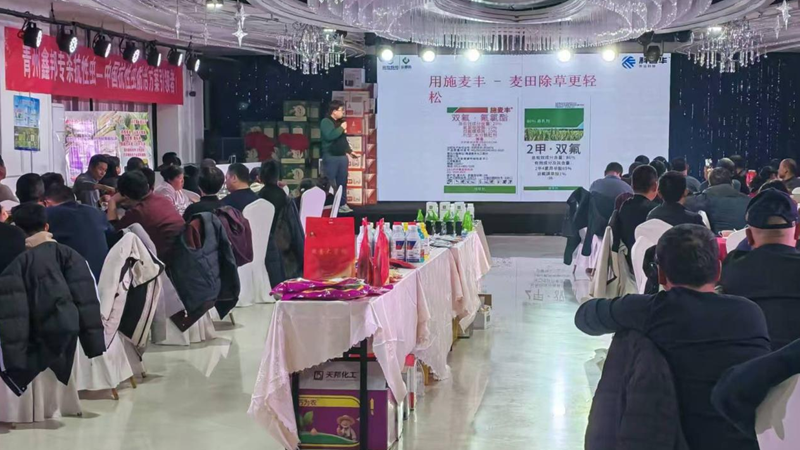 山東浙農晟通舉辦&ldquo;施麥豐&rdquo;市場啟動會