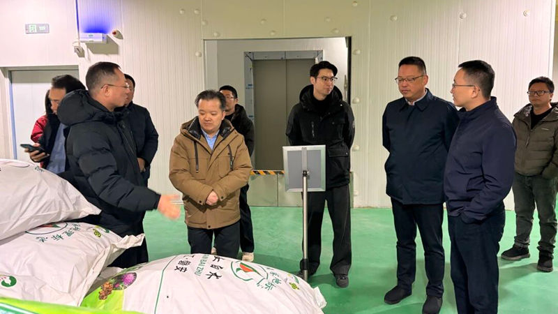 省供銷社副主任郭峻赴浙農(nóng)中藥磐安公司檢查調(diào)研